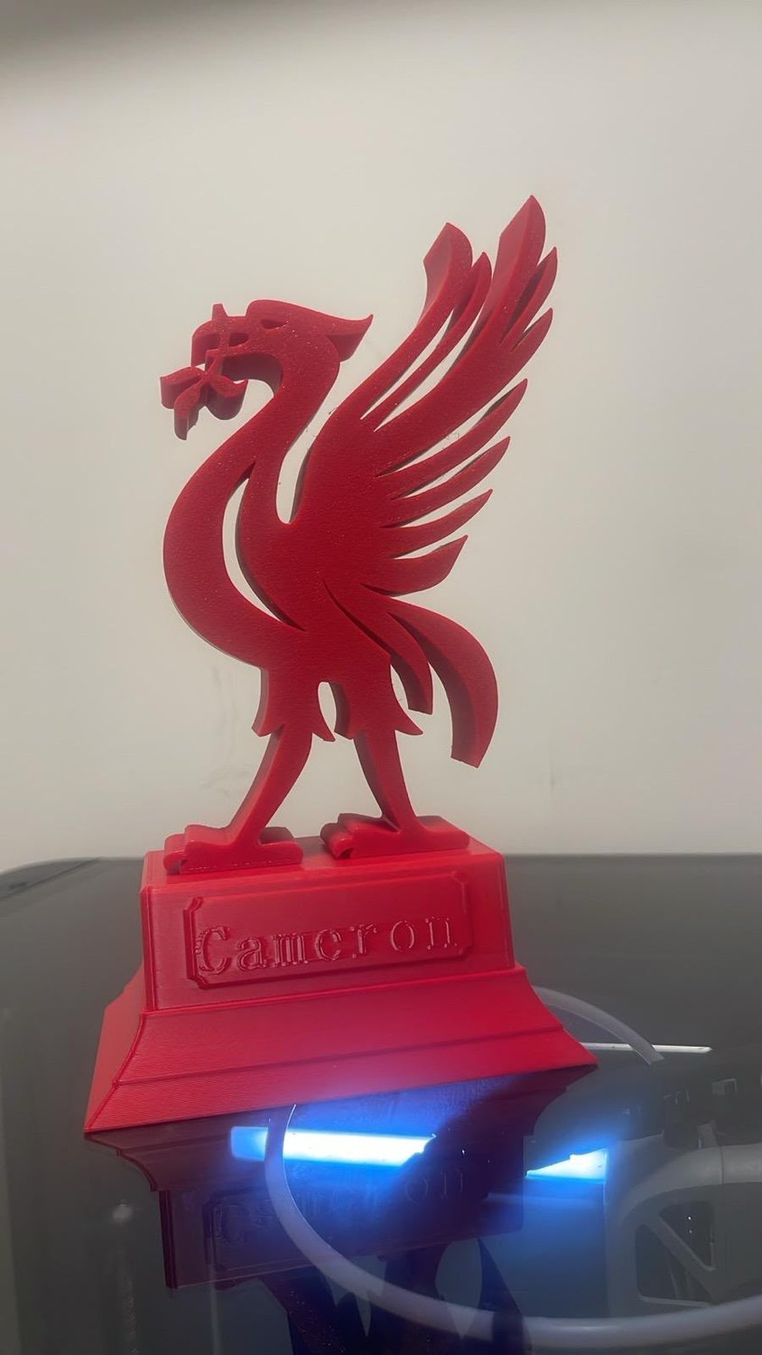 Red bird inspired 3D printed display